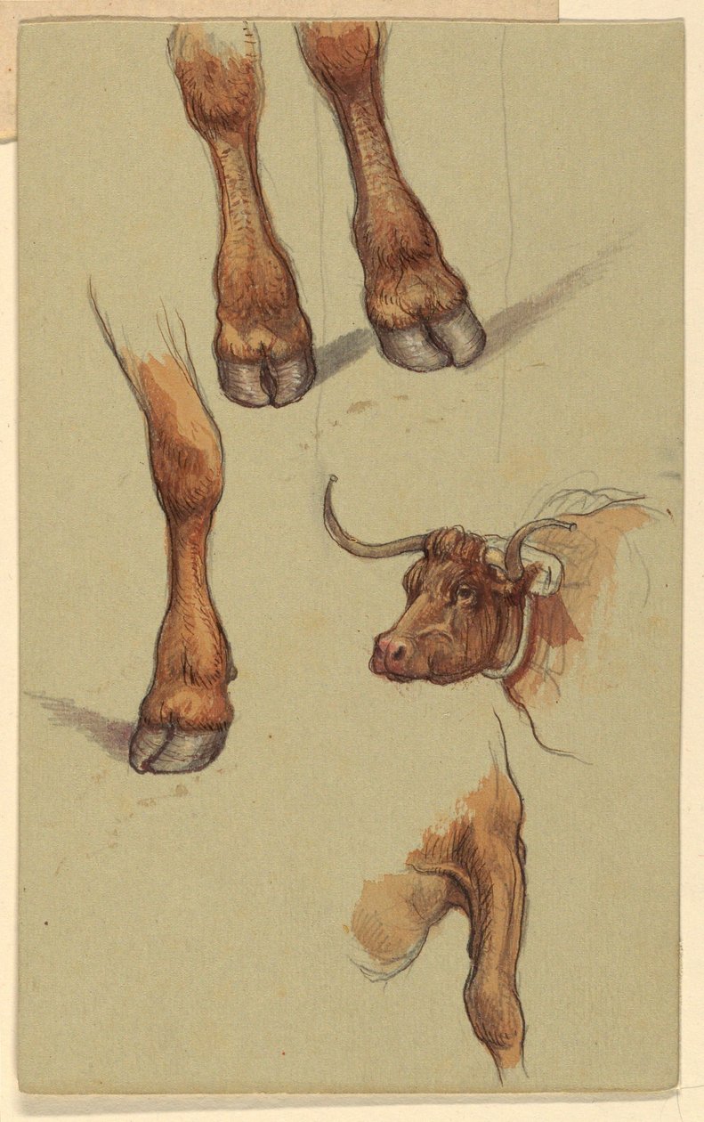 素描，罗德岛纳拉根西特的素描，1871 年 作者 塞缪尔·科尔曼（Samuel Colman）