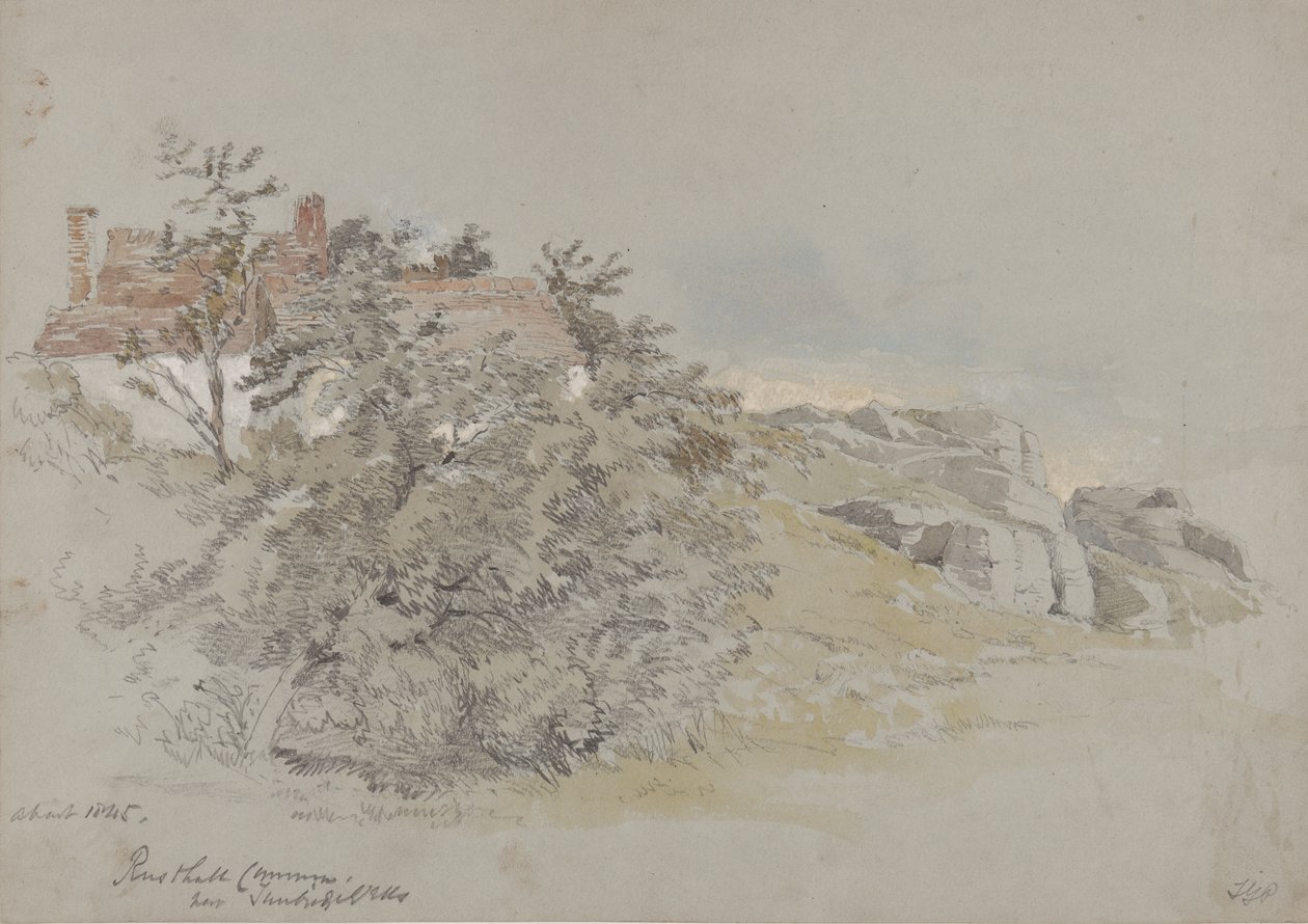Rusthall Common，靠近Tunbridge Wells，1845年（铅笔，卫生纸和水粉纸） 作者 塞缪尔·吉莱斯皮·普鲁特