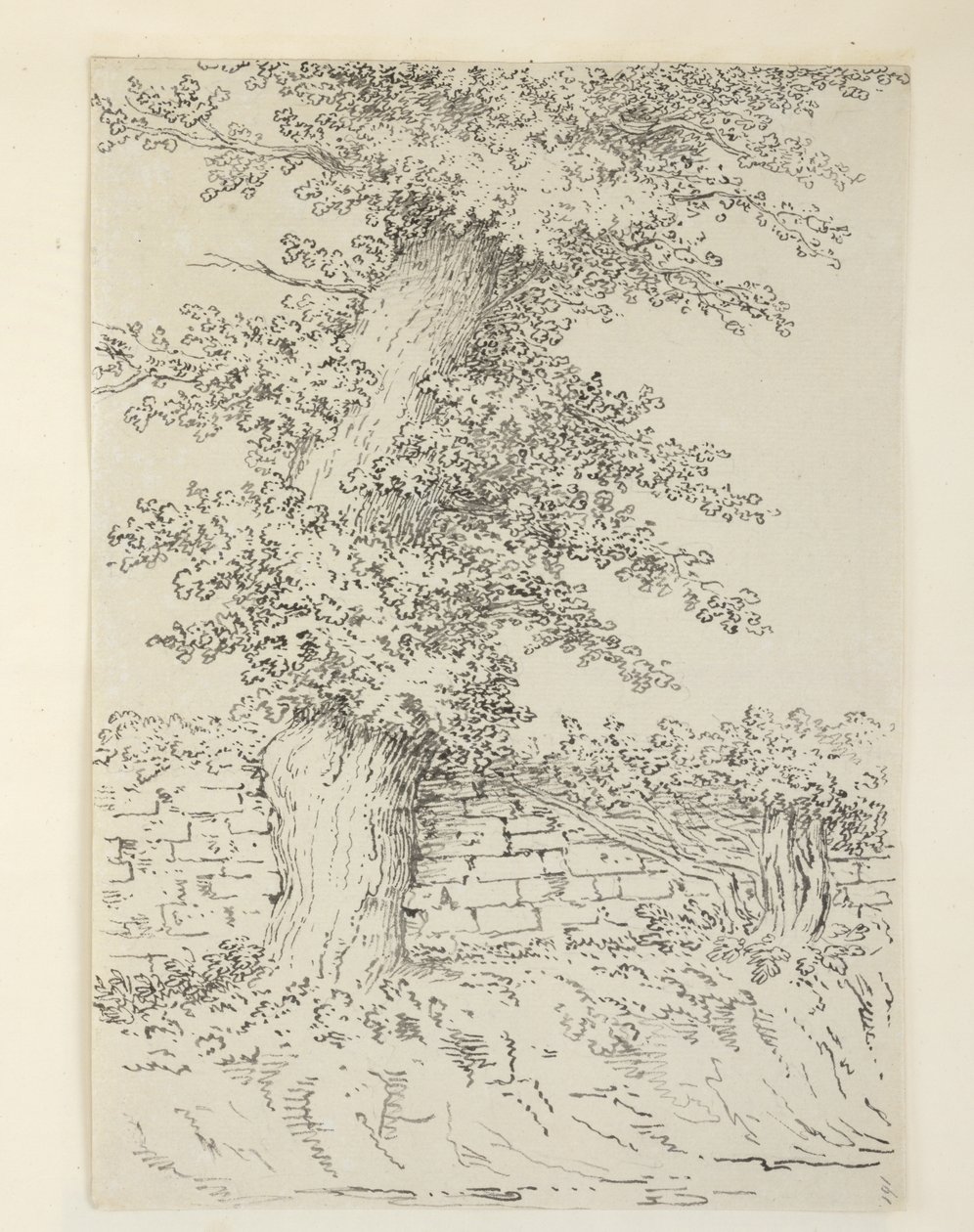 添加。MS 15546 Am Elm Tree at Bedminster 作者 塞缪尔（Samuel Hieronymous）格林
