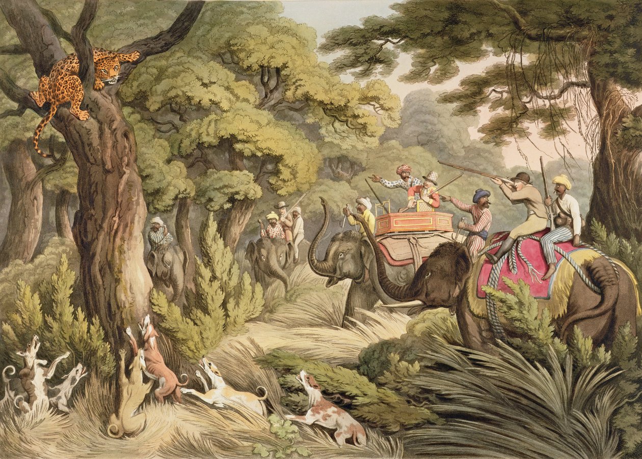 射击豹子，来自东方体育运动，酒吧。作者：Edward Orme，1807（印刷品） 作者 塞缪尔·豪威特