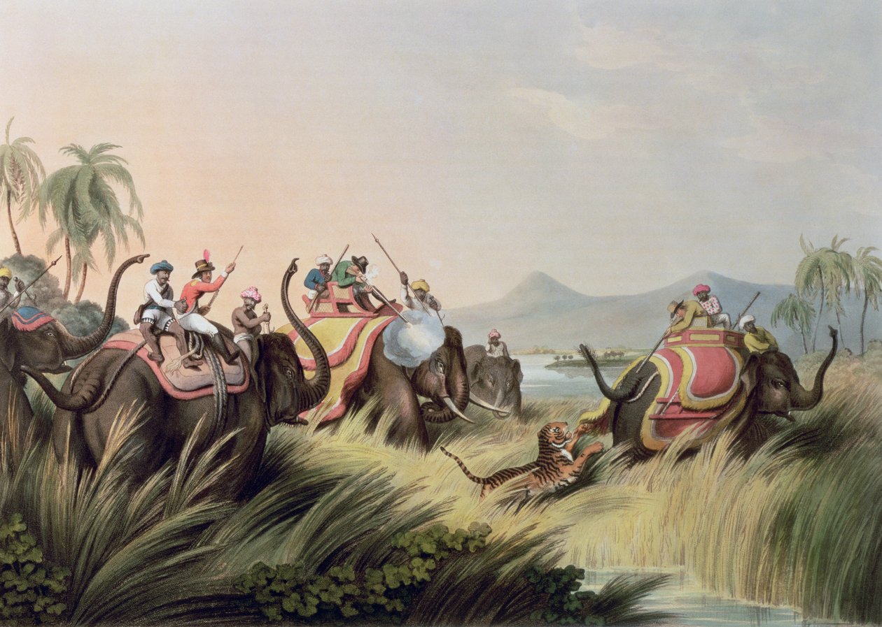 Tiger At Bay，来自Oriental Field Sports，酒吧。作者：Edward Orme，1807（印刷品） 作者 塞缪尔·豪威特