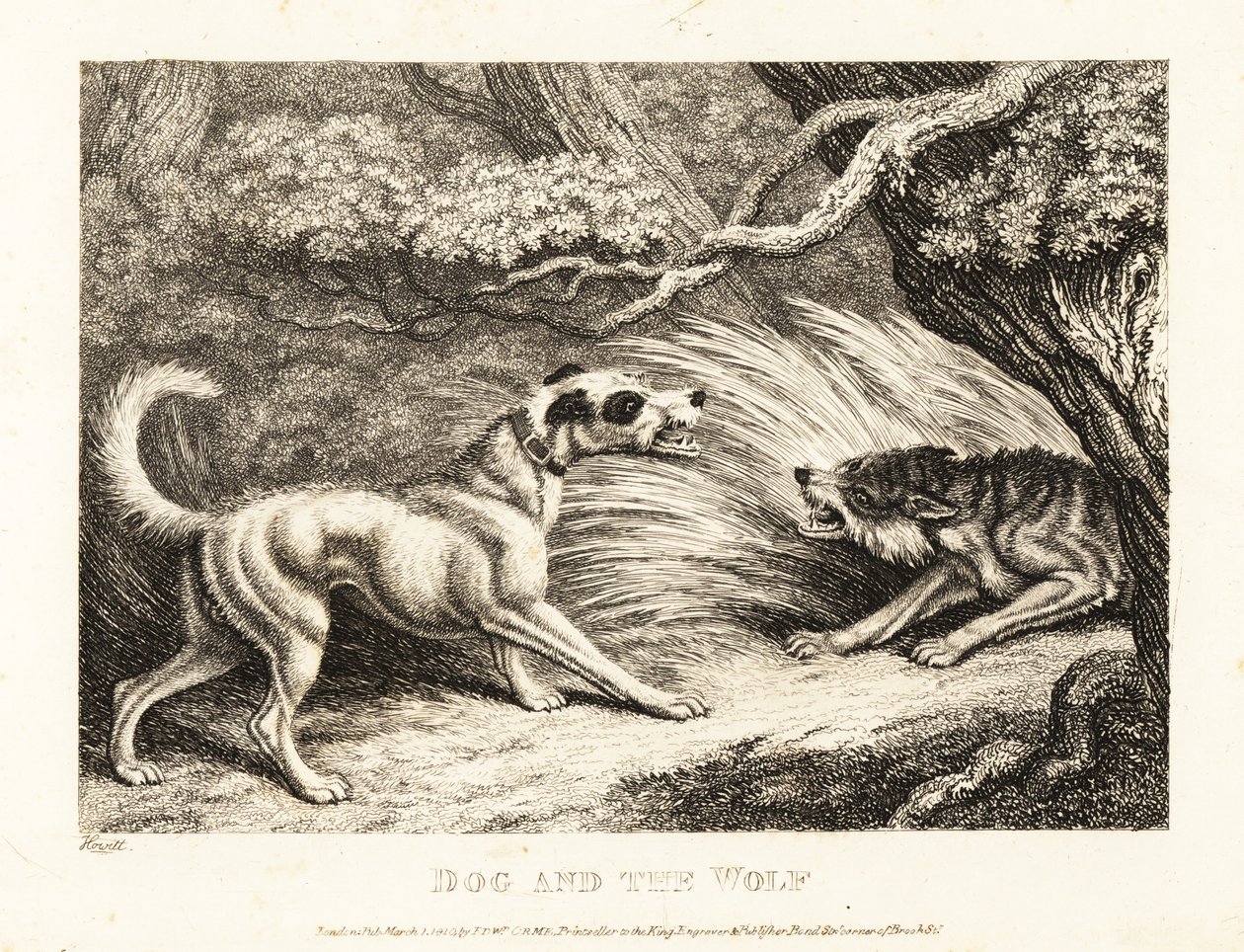 一只戴着项圈的家犬向一只饥饿的狼提供食物。1811年（蚀刻版画） 作者 塞缪尔·豪伊特