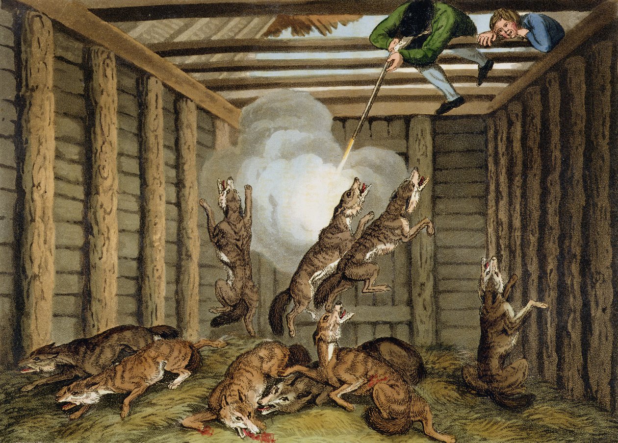 美国轶事：射击狼，由Matthew Dubourg（1785-1820）和艺术家雕刻，由Edward Orme出版，1813年 作者 塞缪尔·豪伊特