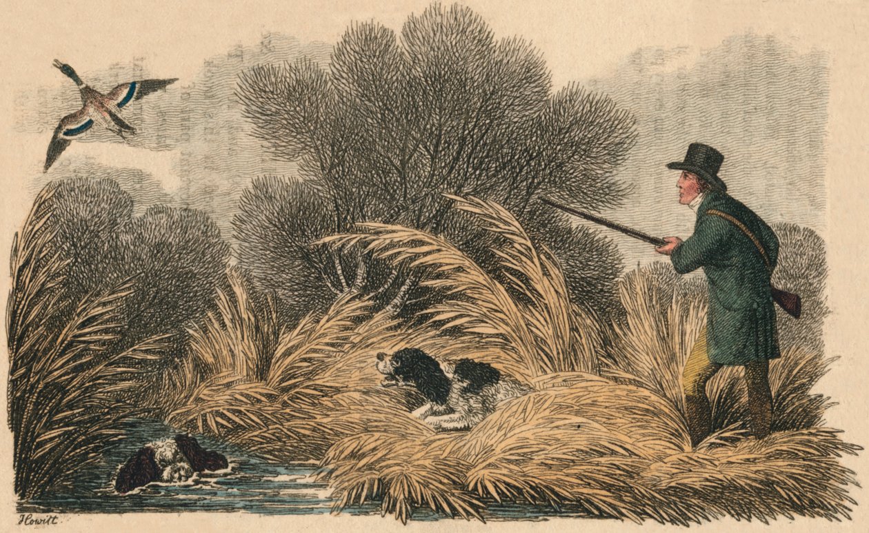 鸭子射击，1810年。 作者 塞缪尔·豪伊特