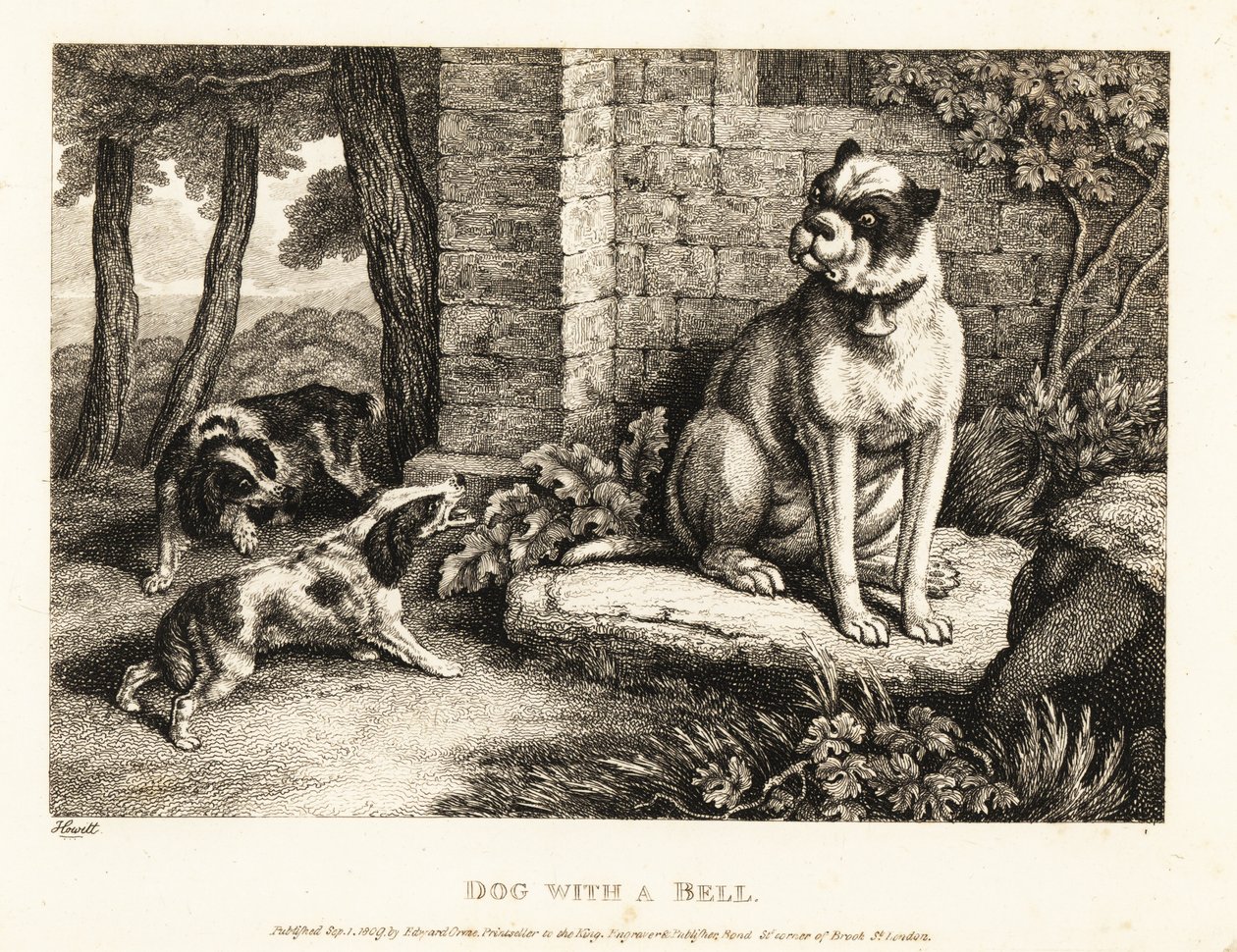 两只西班牙猎犬对着一只项圈上挂着铃铛的斗牛犬狂吠。1811（蚀刻版画） 作者 塞缪尔·豪伊特