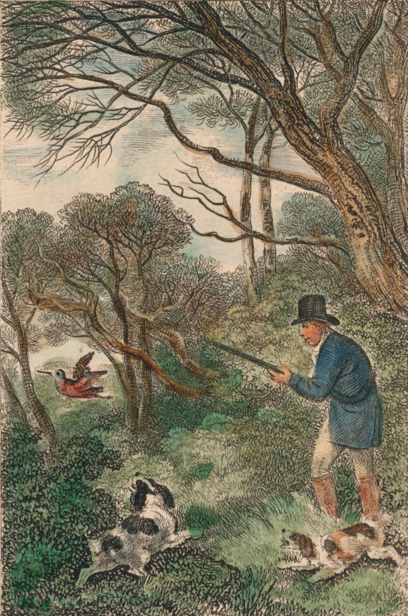 伍德科克射击，1819年。 作者 塞缪尔·豪伊特