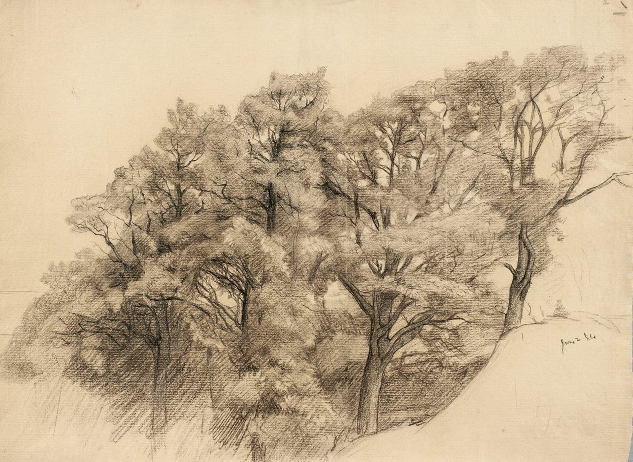 树木景观，1884年（浅黄色纸上的木炭） 作者 塞缪尔·伊沙姆（Samuel Isham）