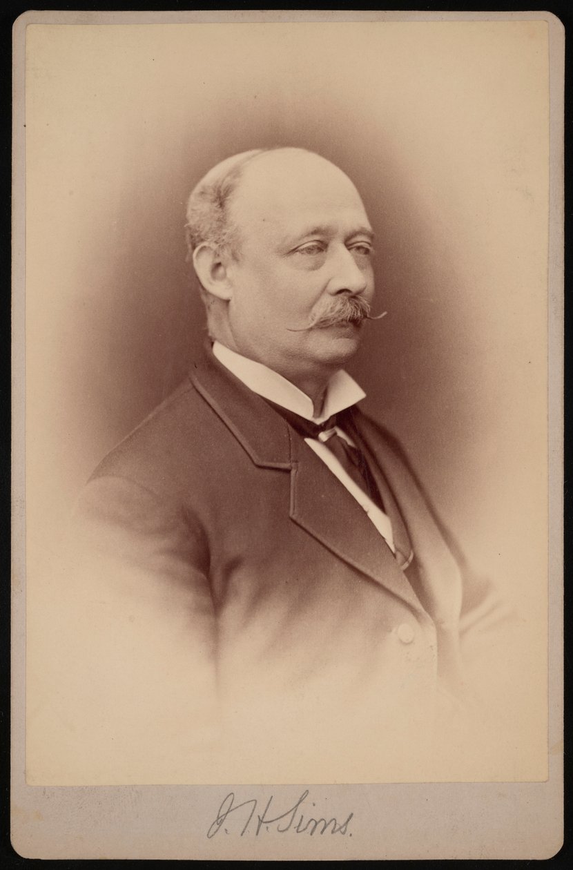 J.H. Sims的肖像，1876至1880年间。 作者 塞缪尔·蒙塔古·法塞特