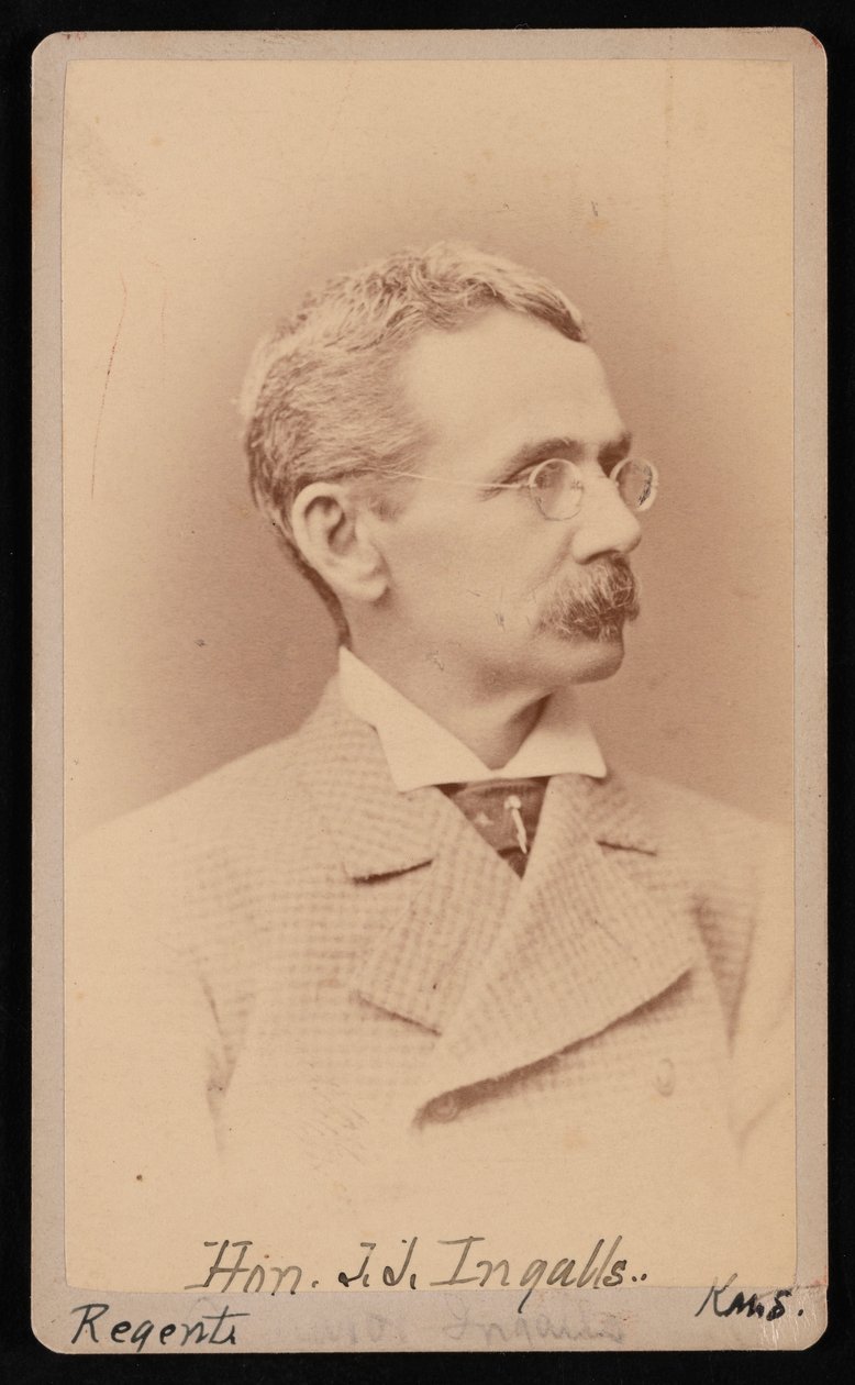 约翰-詹姆斯-英格尔斯的肖像，1833-1900年，1876-1880年间。 作者 塞缪尔·蒙塔古·法塞特