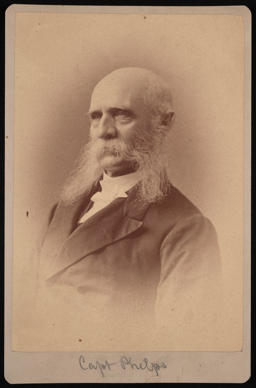 塞斯-莱迪德-菲尔普斯的肖像，1824-1885年，1878年。 作者 塞缪尔·蒙塔古·法塞特