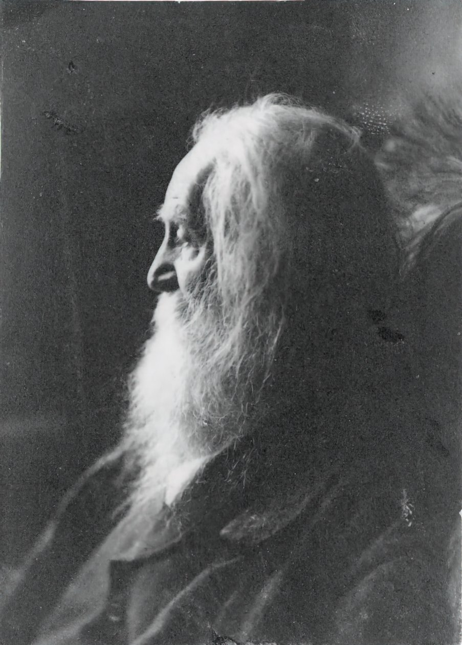 沃尔特-惠特曼在新泽西州的卡姆登，约1891年。 作者 塞缪尔·默里