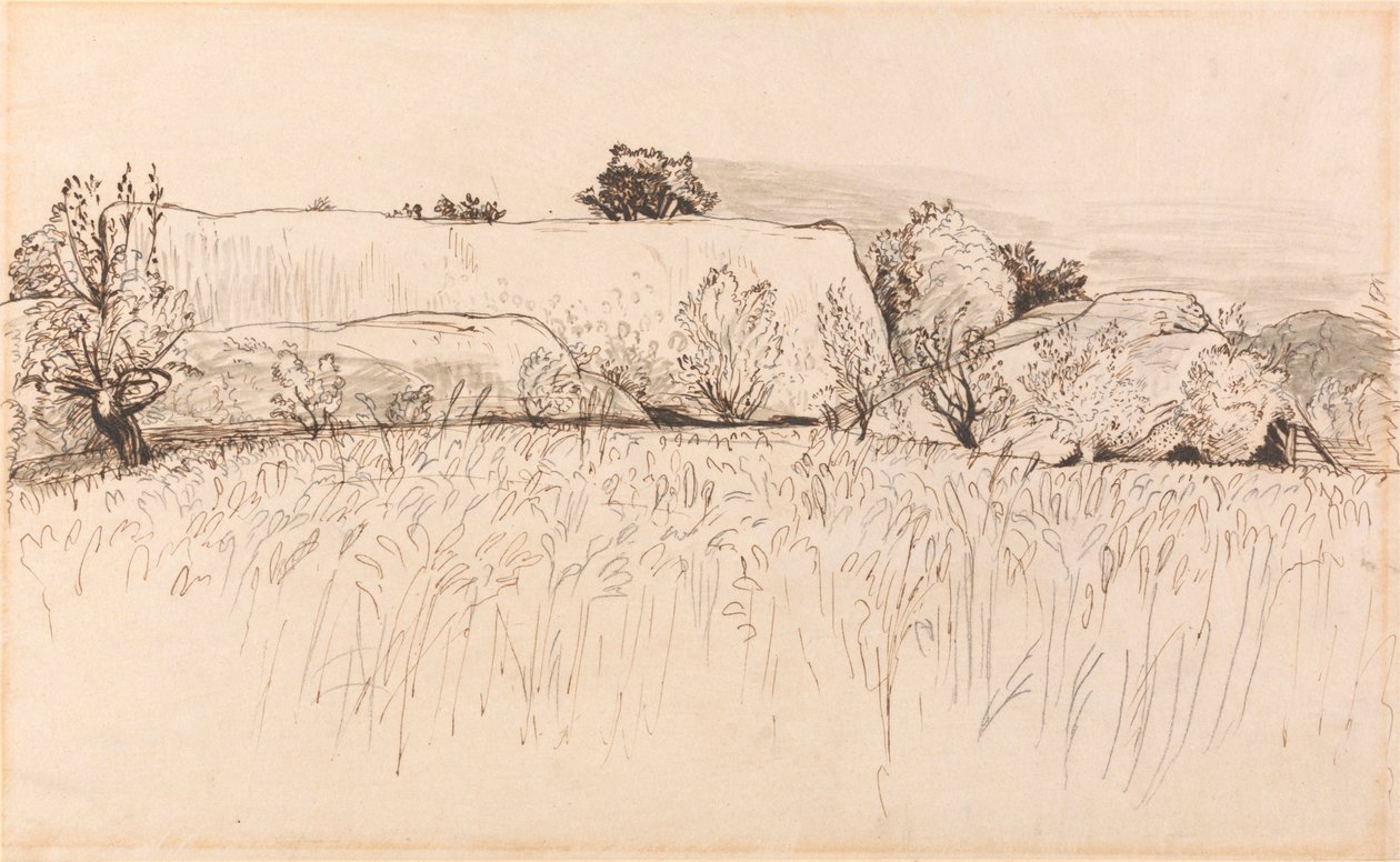 带谷仓的玉米田，肖勒姆 作者 塞缪尔·帕尔默（Samuel Palmer）