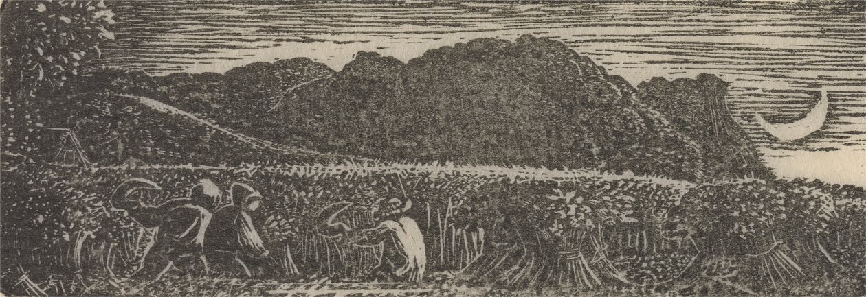 新月下的收获 作者 塞缪尔·帕尔默（Samuel Palmer）