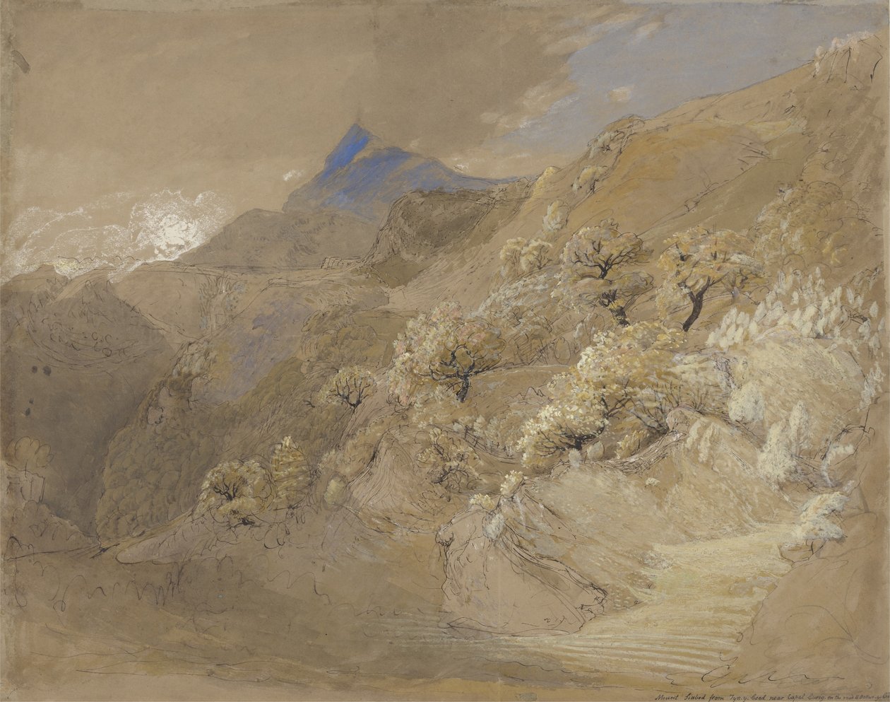 Tyn-y-Coed的Siabod山在Capel Curig附近（纸笔，墨水，人体彩绘和水彩画） 作者 塞缪尔·帕尔默（Samuel Palmer）