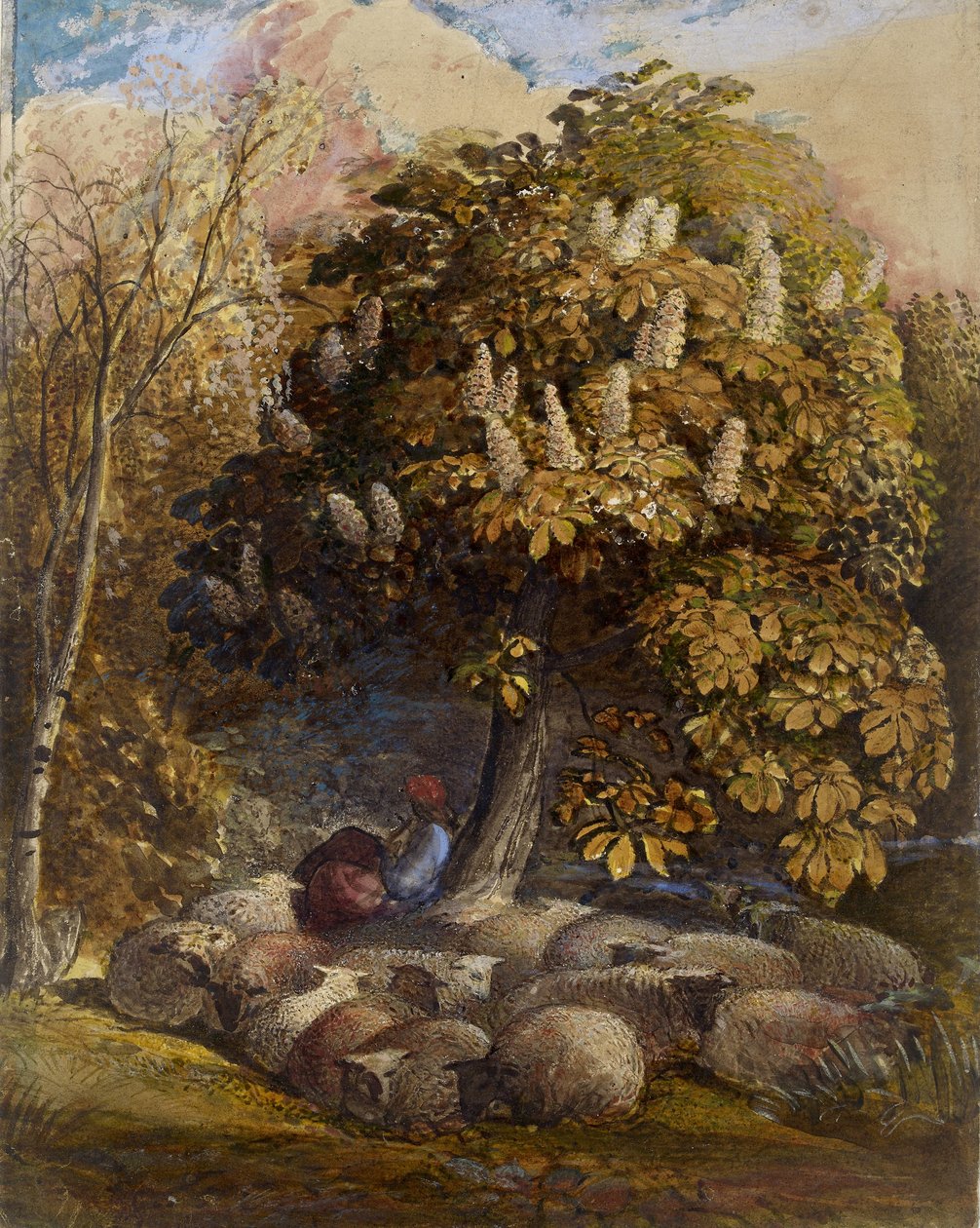 牧树与马板栗树，1830-31（水彩和身体颜色） 作者 塞缪尔·帕尔默（Samuel Palmer）