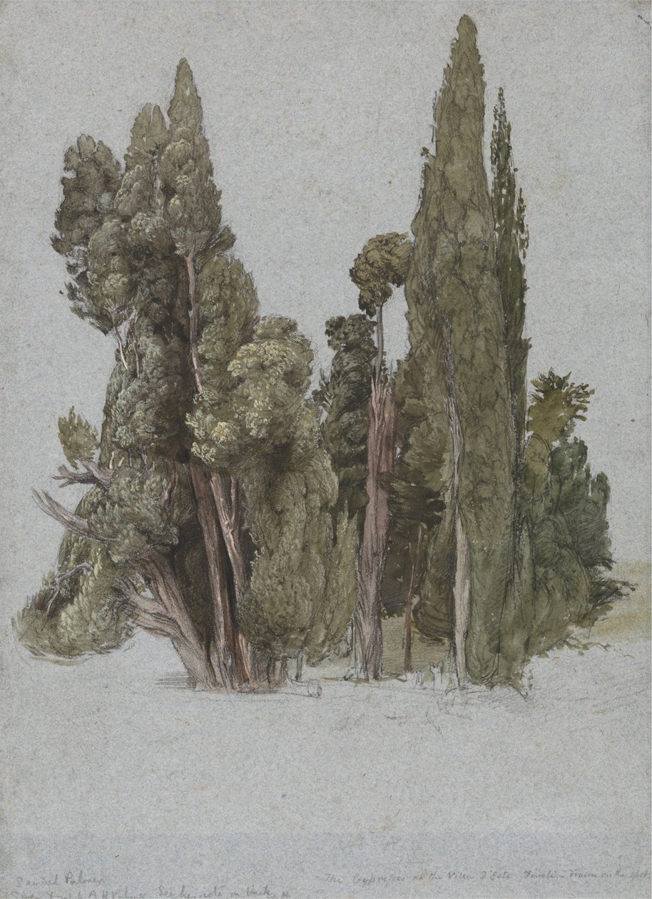 蒂沃利埃斯特别墅的柏树 作者 塞缪尔·帕尔默（Samuel Palmer）