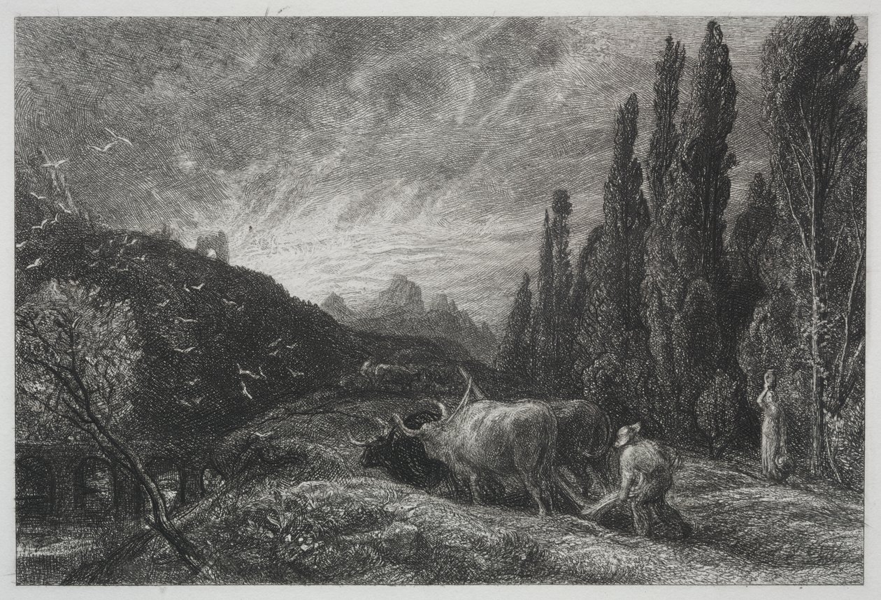 早期的耕作者 作者 塞缪尔·帕尔默（Samuel Palmer）