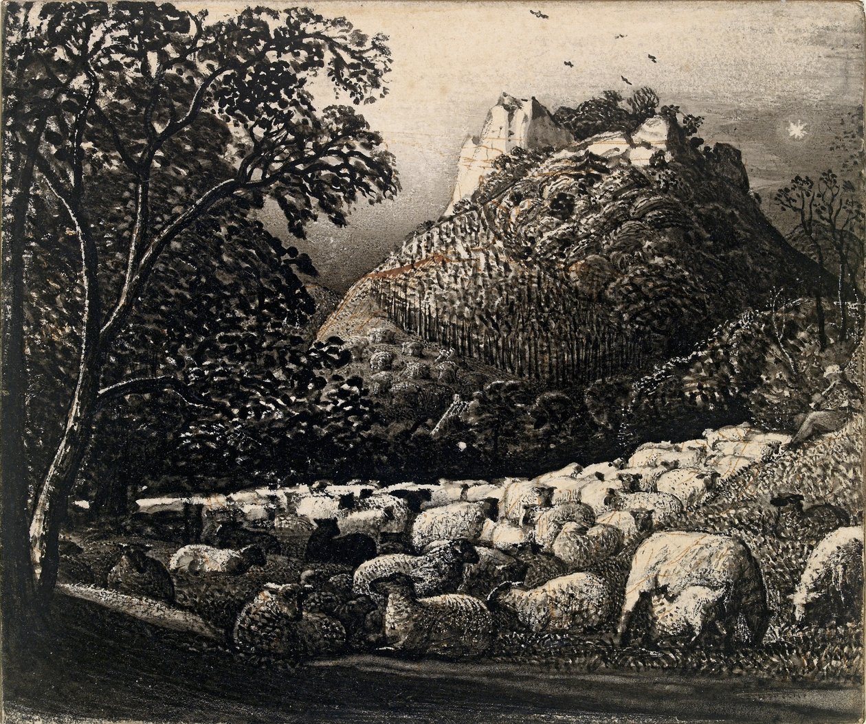 羊群和星星》，约1831-1832年 作者 塞缪尔·帕尔默（Samuel Palmer）