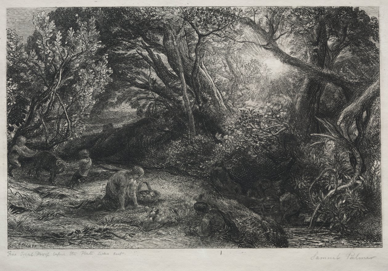 生命之晨 作者 塞缪尔·帕尔默（Samuel Palmer）