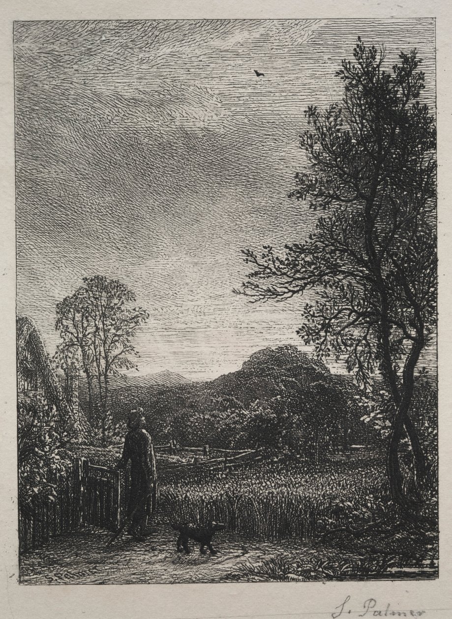 云雀，1850年。 作者 塞缪尔·帕尔默（Samuel Palmer）