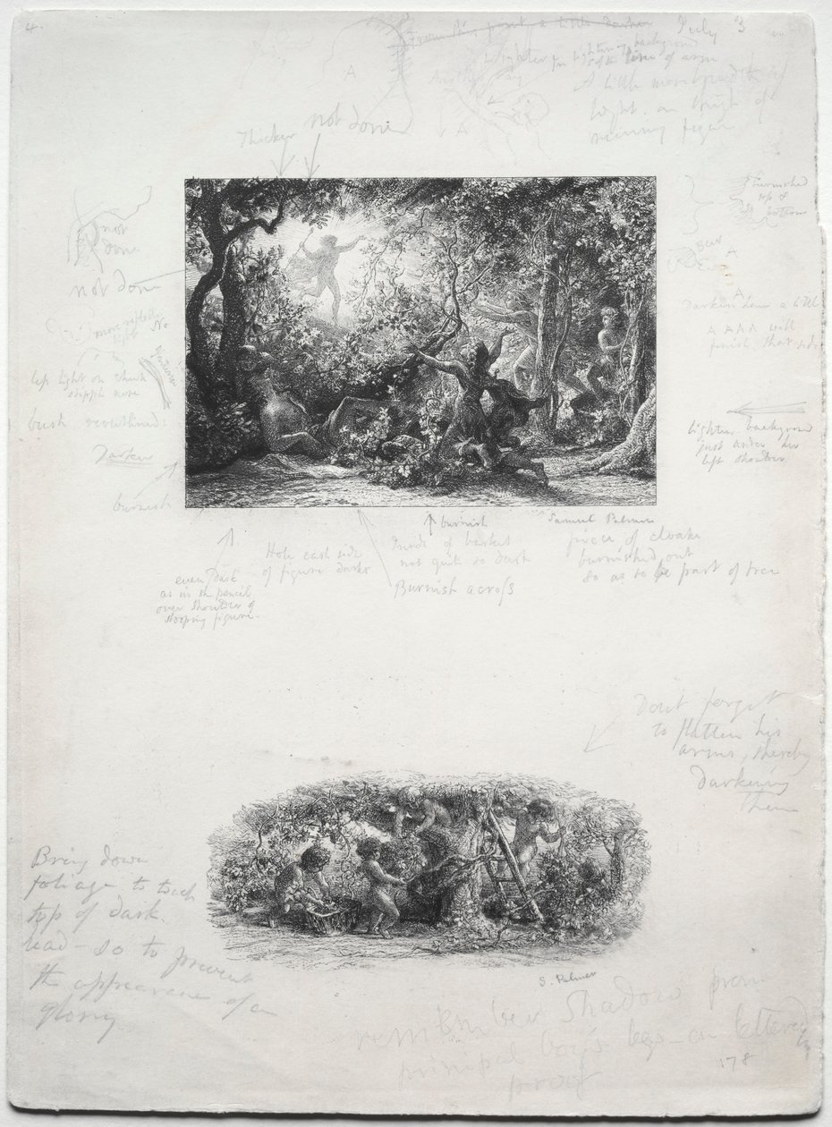 葡萄藤，1852年。 作者 塞缪尔·帕尔默（Samuel Palmer）