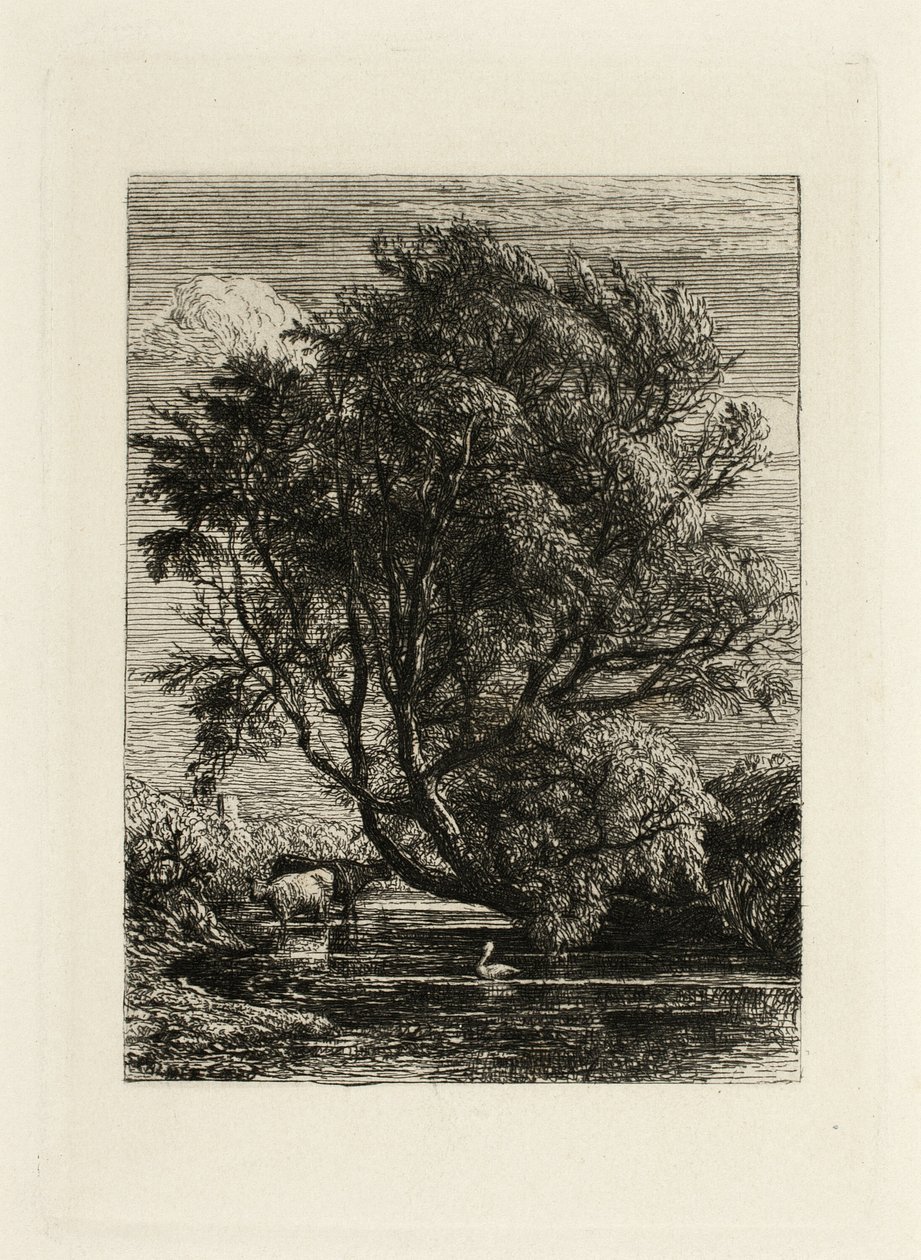 柳树 作者 塞缪尔·帕尔默（Samuel Palmer）