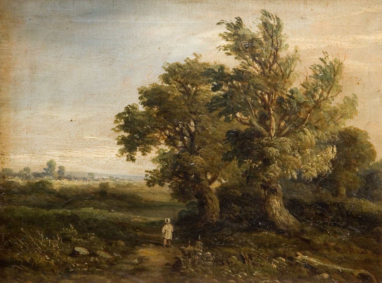有树的风景，1863年。 作者 塞缪尔·雷斯特尔线