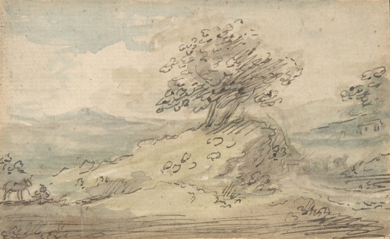 景观，1776-1808。 作者 塞缪尔·雪莱