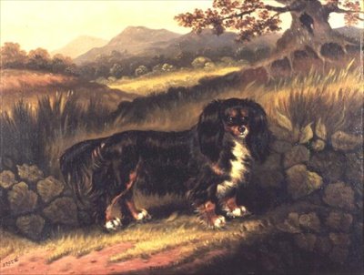 查尔斯王猎犬在风景中的 "小题大做"。 作者 塞缪尔·斯波德