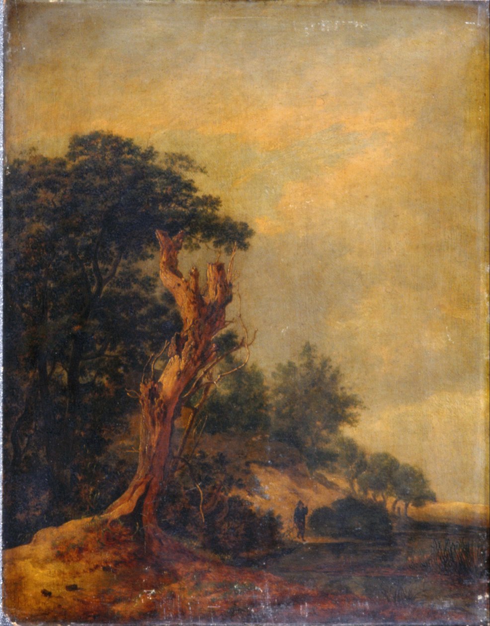 模仿Jacob Ruisdael的风景 作者 塞缪尔·伍德本（Samuel Woodburn）