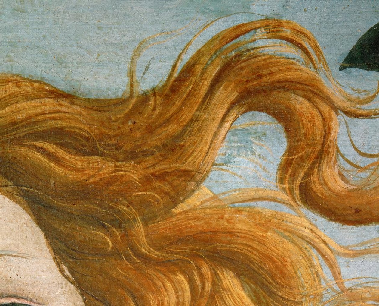 金星的诞生 作者 桑德罗·波提切利（Sandro Botticelli）
