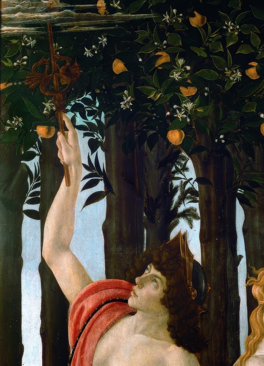 春天 作者 桑德罗·波提切利（Sandro Botticelli）