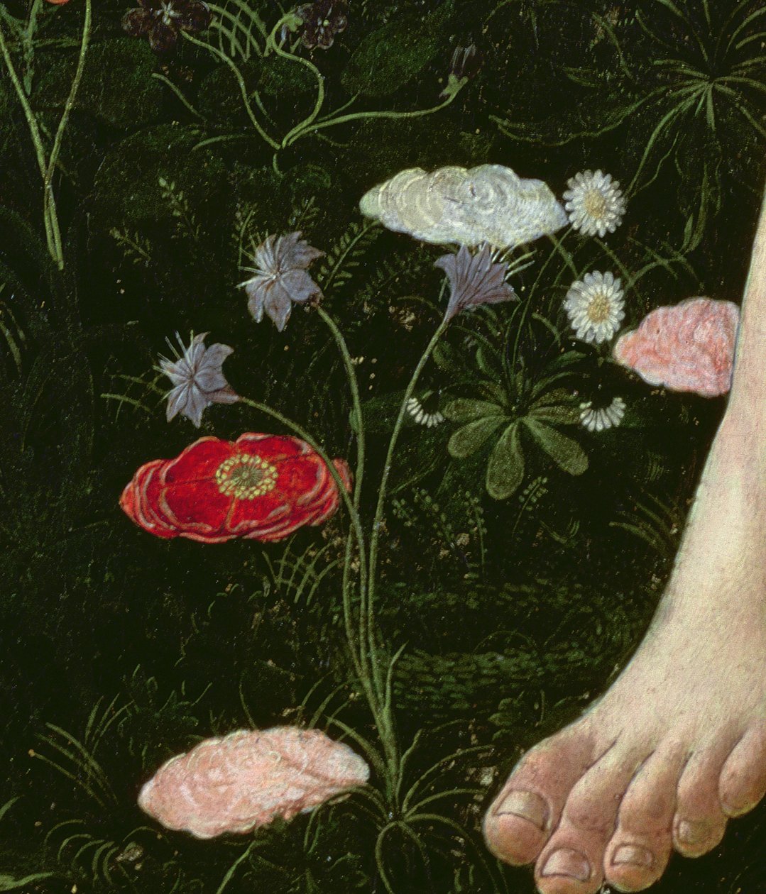 Primavera，c.1478，558的面板细节上的蛋彩画 作者 桑德罗·波提切利（Sandro Botticelli）
