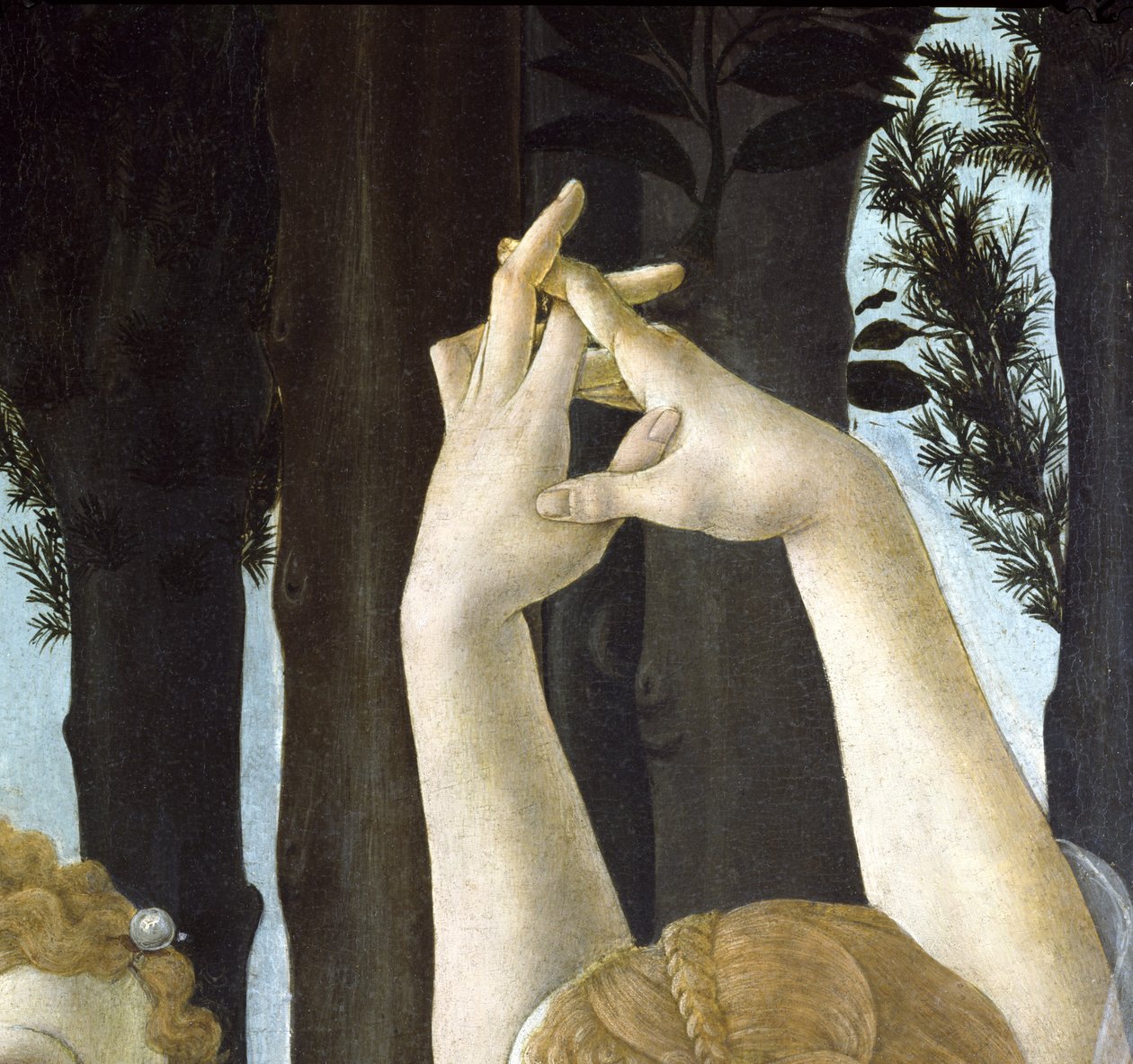Primavera，c.1478，558的面板细节上的蛋彩画 作者 桑德罗·波提切利（Sandro Botticelli）