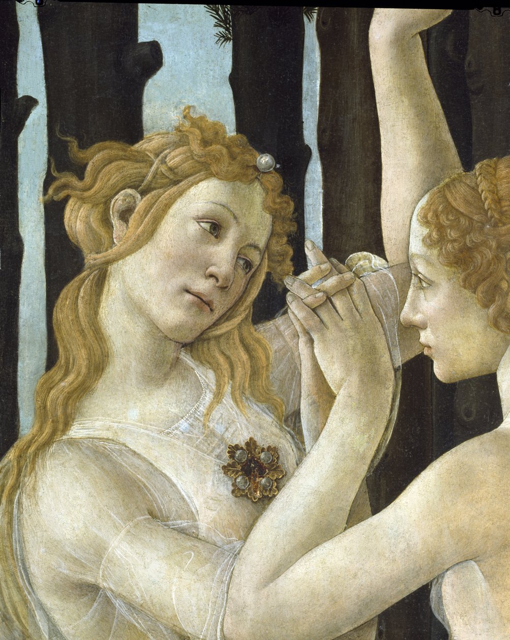 Primavera，c.1478，558的面板细节上的蛋彩画 作者 桑德罗·波提切利（Sandro Botticelli）
