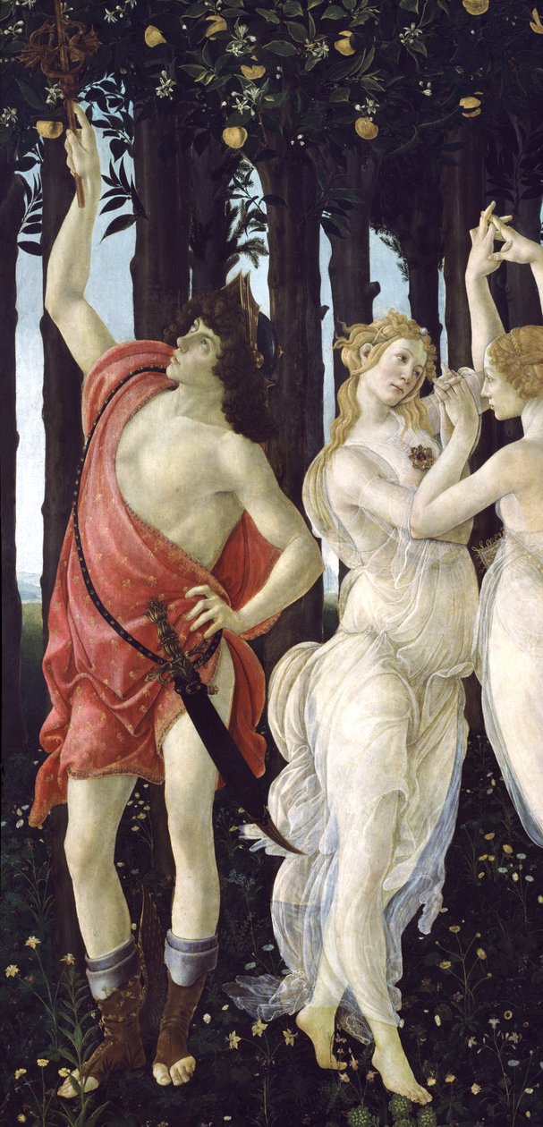 Primavera，c.1478，558的面板细节上的蛋彩画 作者 桑德罗·波提切利（Sandro Botticelli）