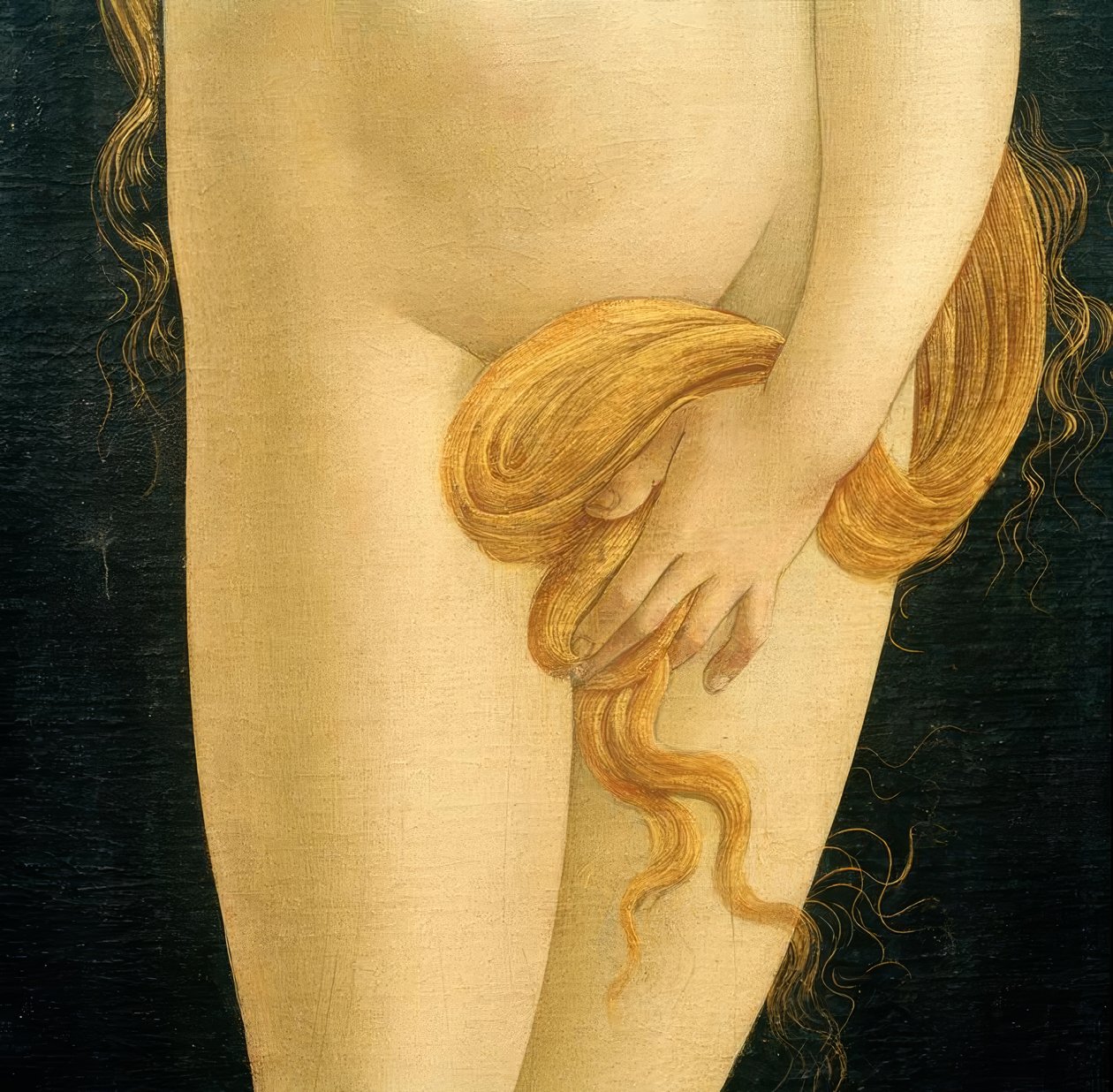 金星（手和头发） 作者 桑德罗·波提切利（Sandro Botticelli）