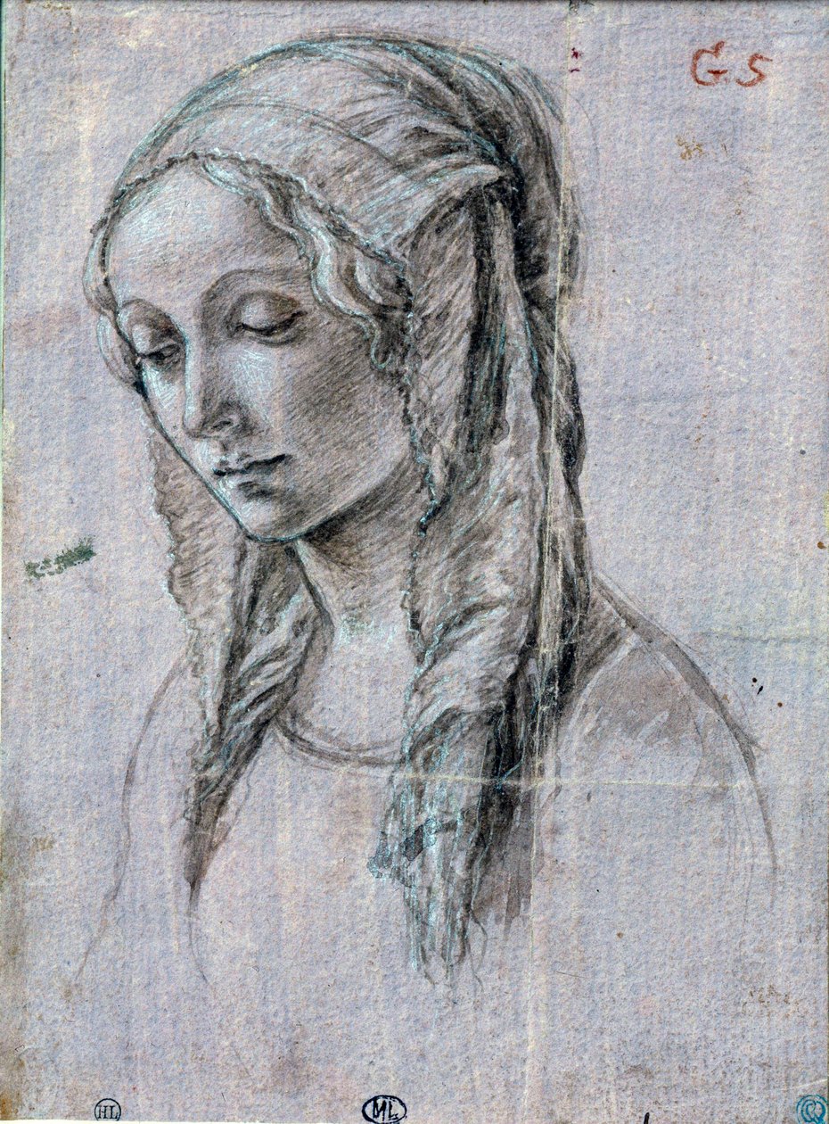 年轻女子的头“”画笔和白色襟翼属于 Alessandro di Mariano dei Filipepi dit Sandro Botticelli (1445-1510) 15 世纪巴黎，卢浮宫博物馆 作者 桑德罗（前往）波提切利