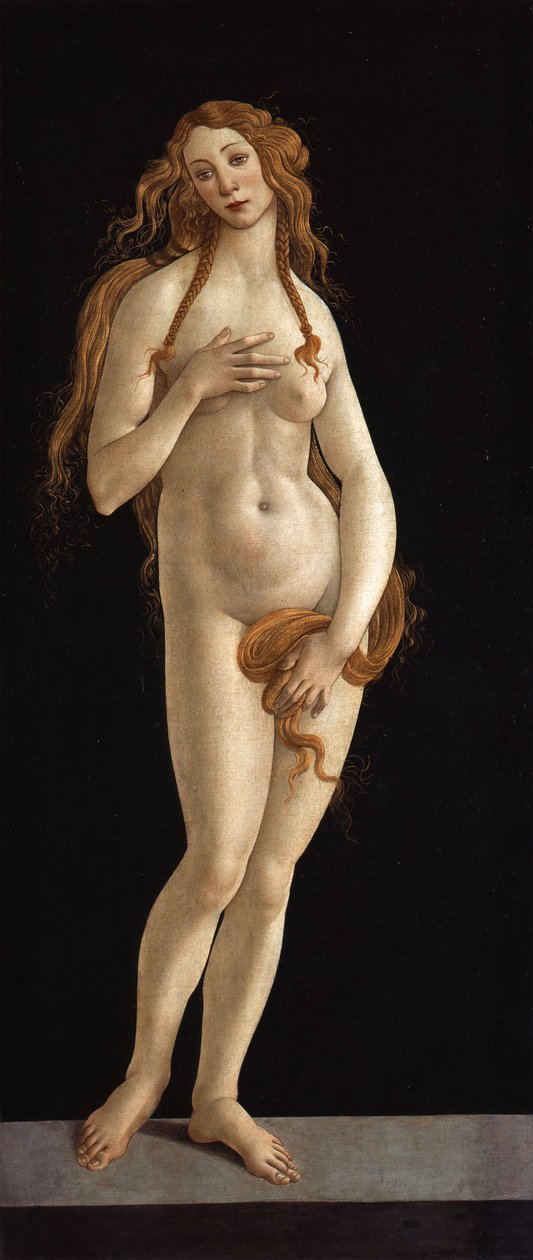 德语：维纳斯 Venus 作者 桑德罗·波提切利（Sandro Botticelli）