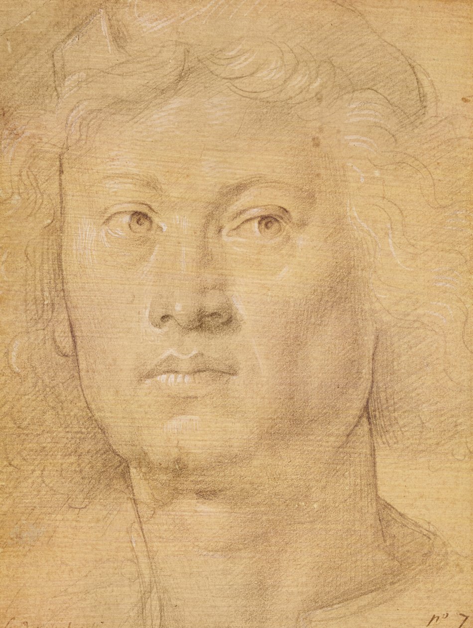 天使的头（铅笔和蜡笔在纸上） 作者 桑德罗·波提切利（Sandro Botticelli）