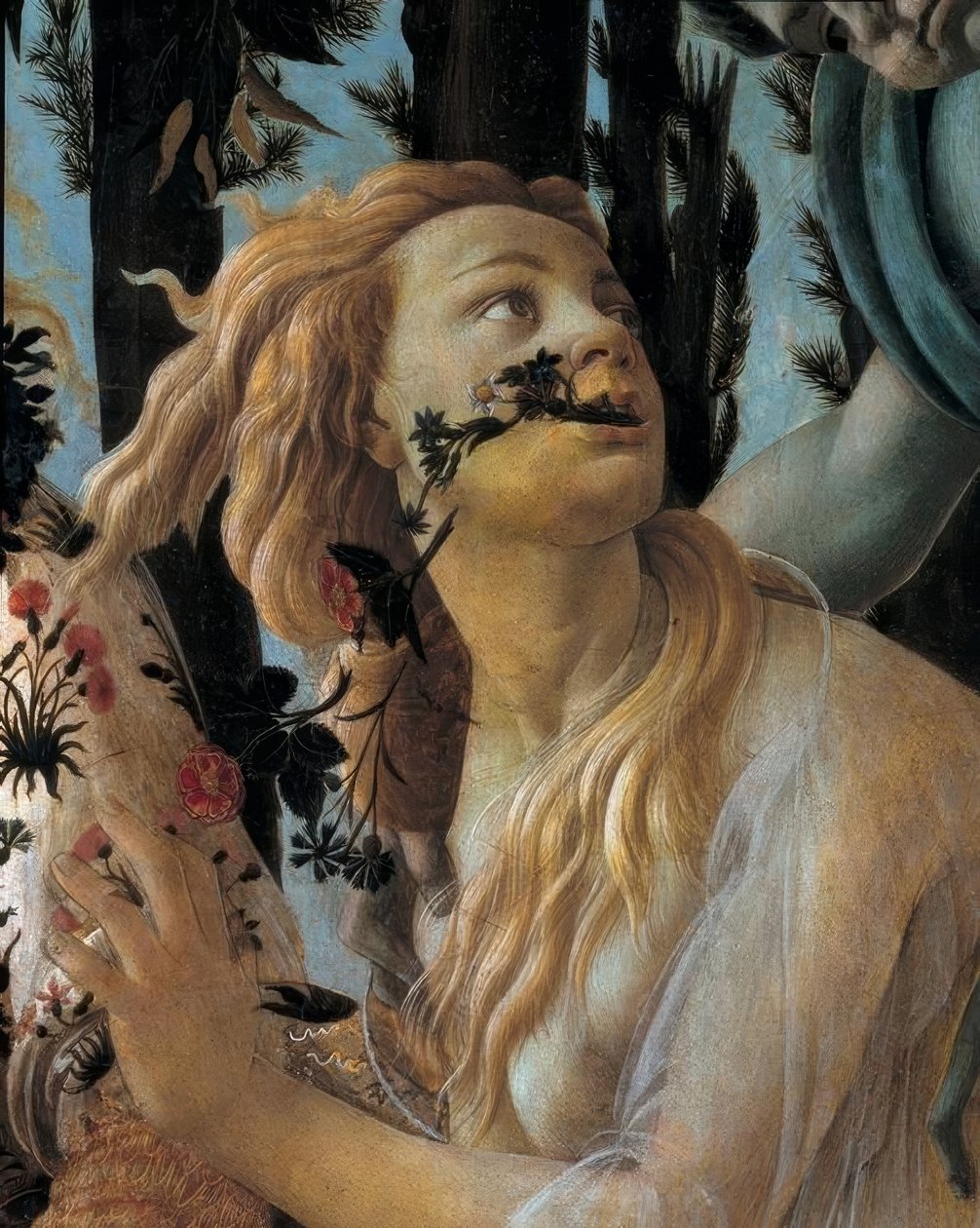 春天 作者 桑德罗·波提切利（Sandro Botticelli）
