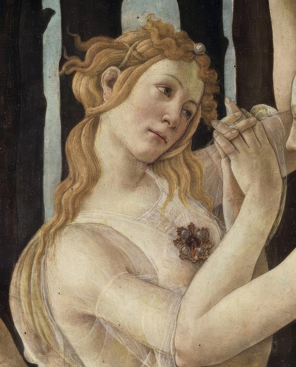 春天 作者 桑德罗·波提切利（Sandro Botticelli）
