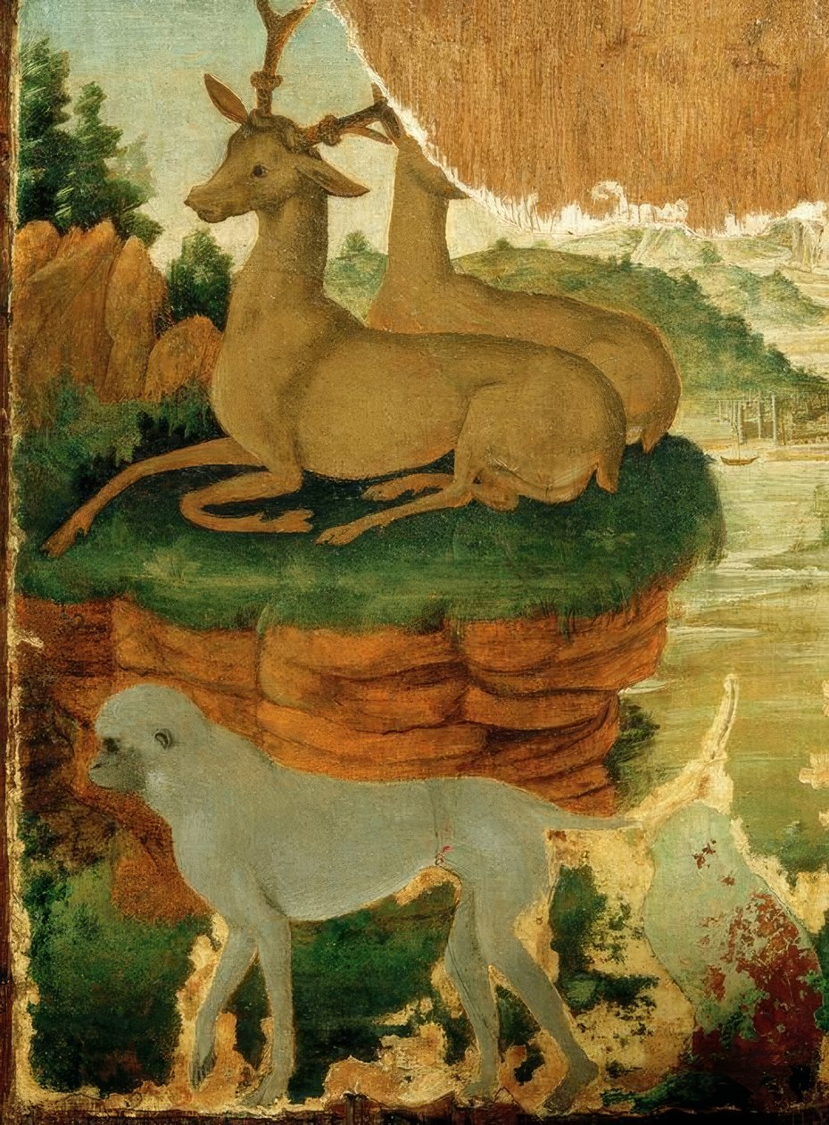 景观与雄鹿和猴子 作者 桑德罗·波提切利（Sandro Botticelli）