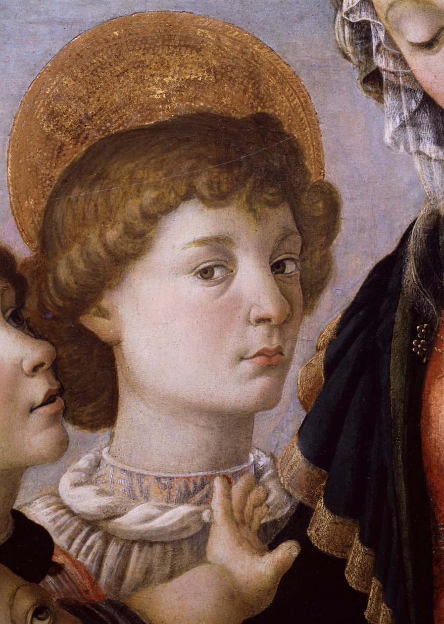 来自圣母子的圣约翰（木材上的蛋彩画） 作者 桑德罗·波提切利（Sandro Botticelli）