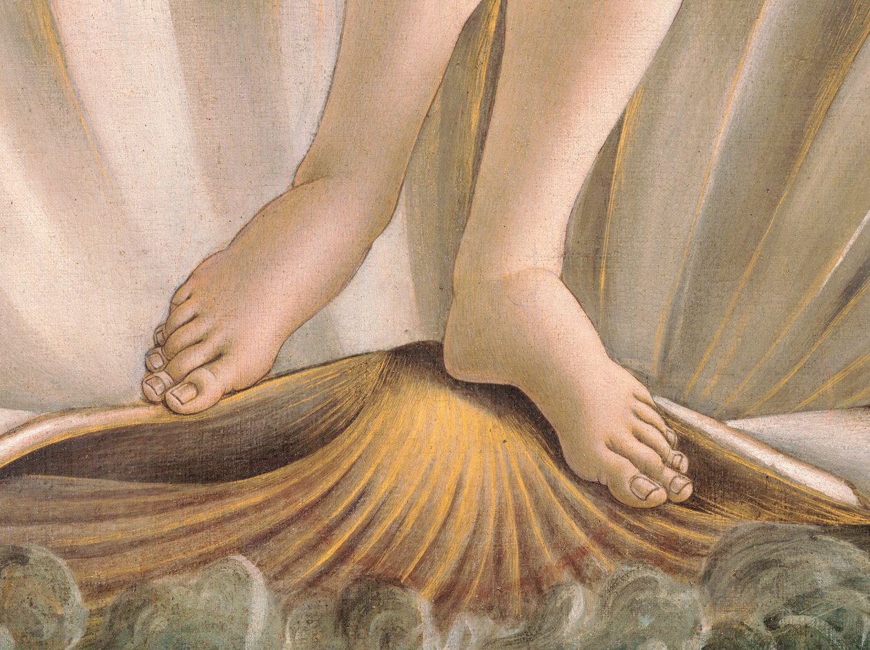 金星的诞生 作者 桑德罗·波提切利（Sandro Botticelli）