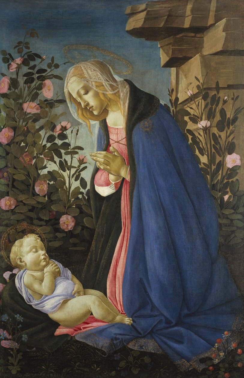 圣母怀抱沉睡的圣婴 作者 桑德罗·波提切利（Sandro Botticelli）