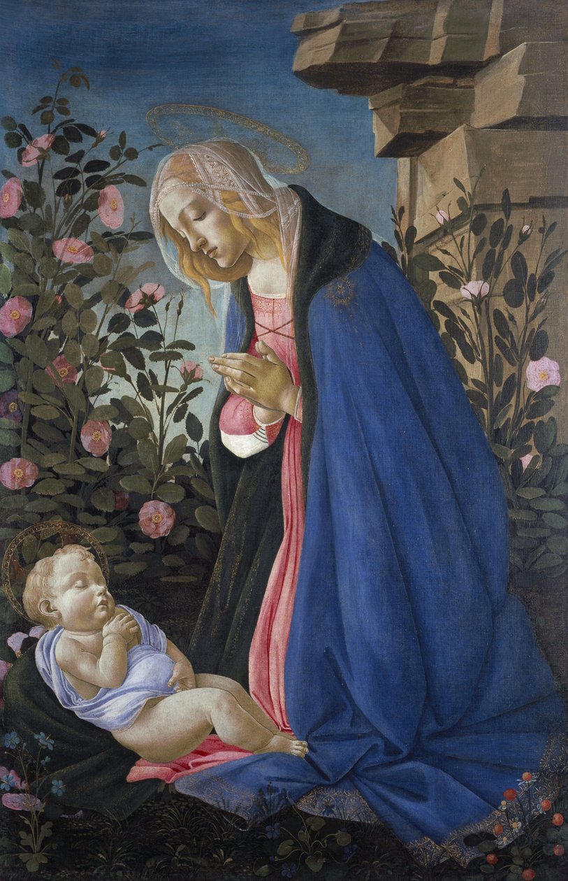 圣母怀抱沉睡的圣婴 作者 桑德罗·波提切利（Sandro Botticelli）