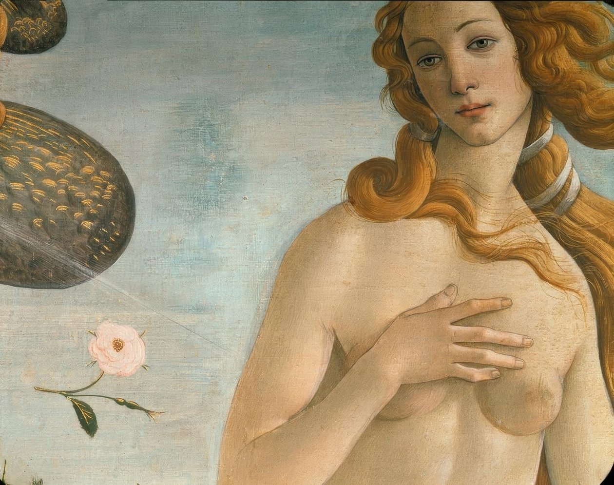 金星（金星Anadyomene）的诞生 作者 桑德罗·波提切利（Sandro Botticelli）