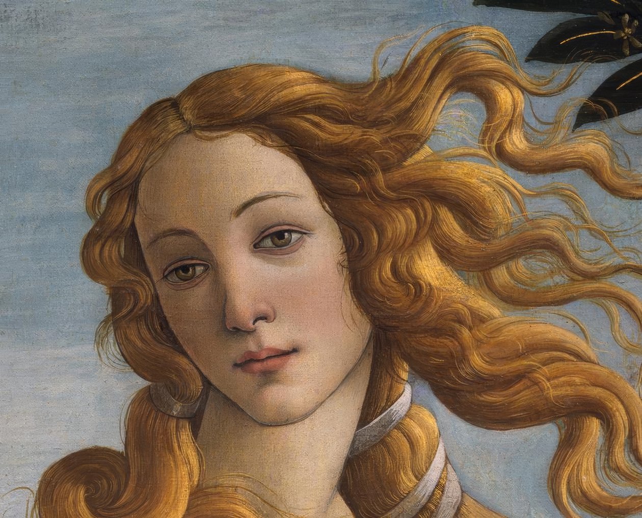 金星 作者 桑德罗·波提切利（Sandro Botticelli）