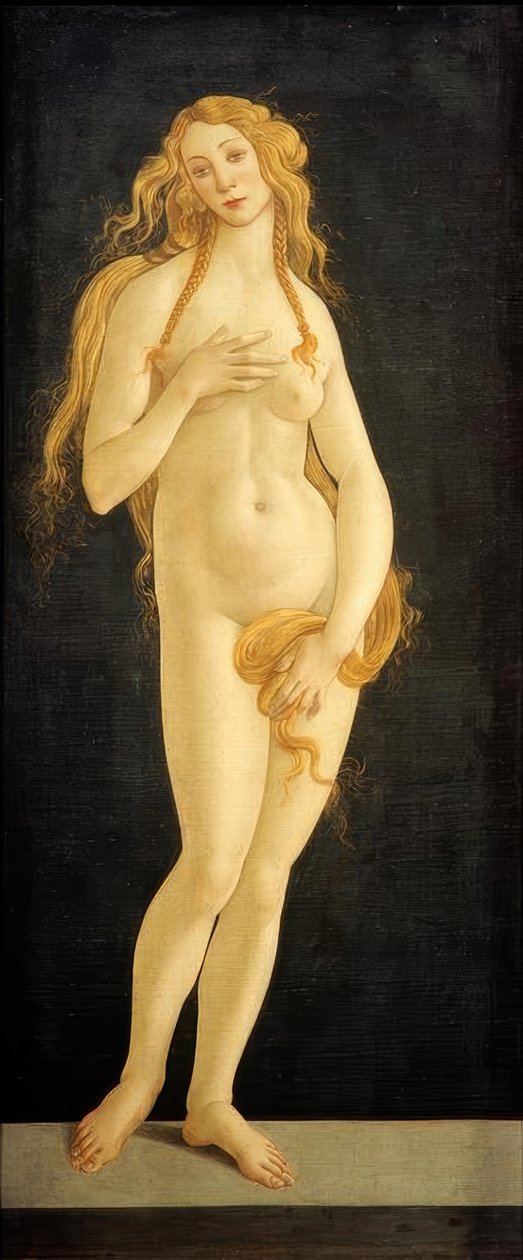 金星 作者 桑德罗·波提切利（Sandro Botticelli）